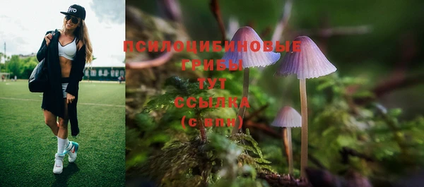 mdpv Нея