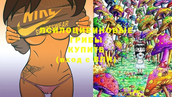 mdpv Нея